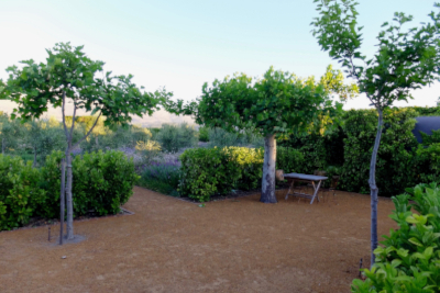 French Boules Area